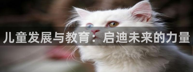 新宝5是什么