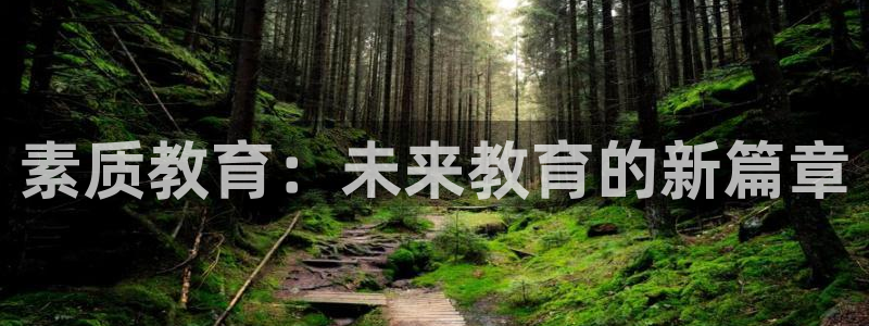 新宝5直属