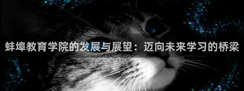 新宝5日740005蔻