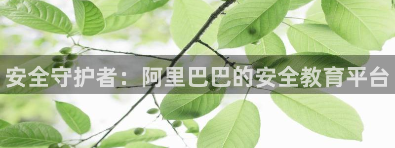 新宝5登陆