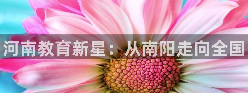 新宝5的网址