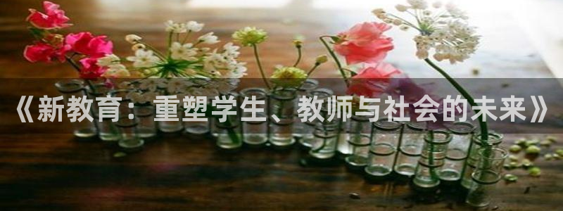 新宝5挂机软件