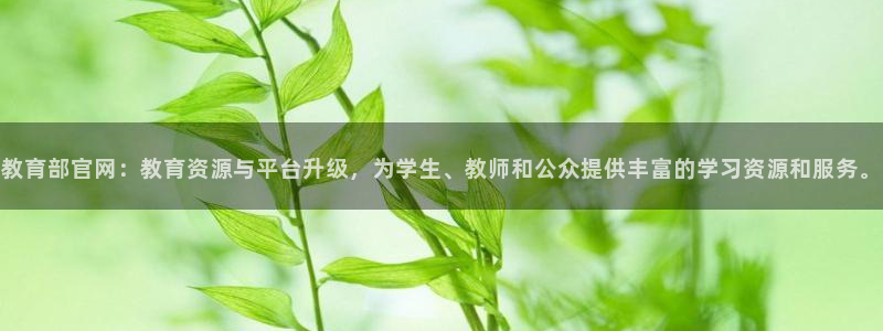 新宝5 代理