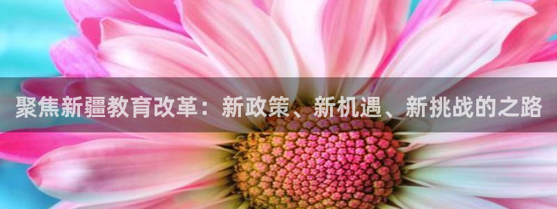 新宝5娱乐方