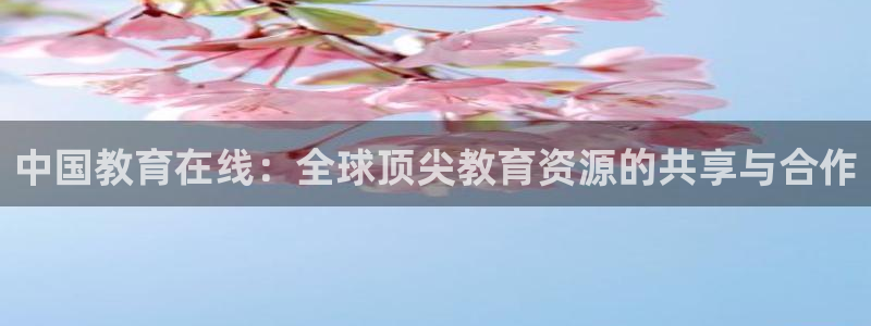 新宝5测