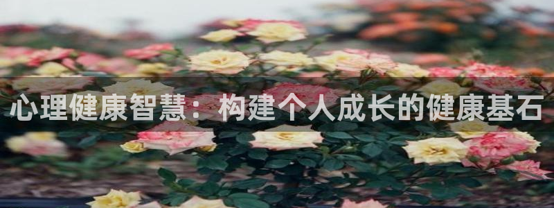 新宝5平台霸