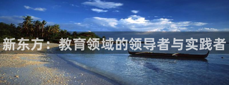 新宝5手机测速
