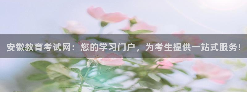 新宝5直属