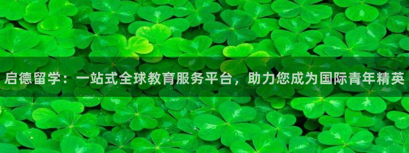 新宝5娱乐代理
