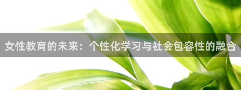 新宝5下载 迅雷下载