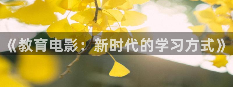 新宝5娱乐经