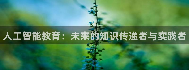 新宝5登陆地址