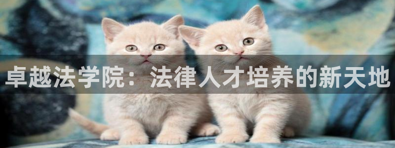 新宝5娱乐主管